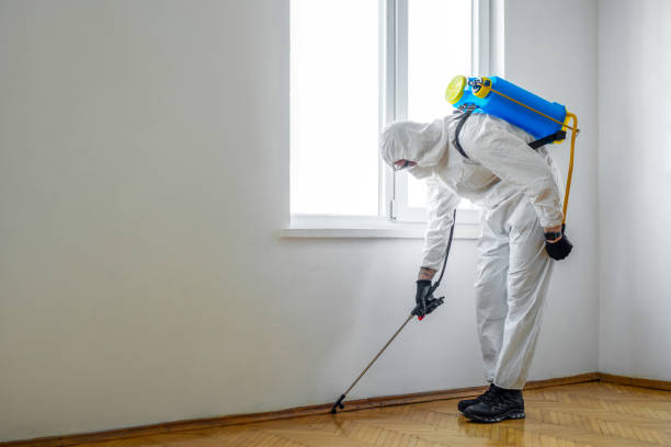 Best Best Pest Control Companies  in Balcones Heights, TX