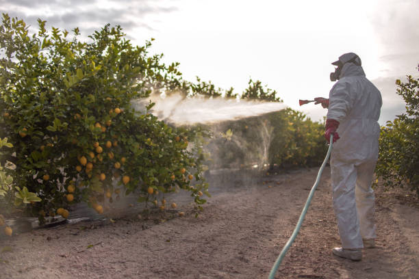 Best Pest Inspection Near Me  in Balcones Heights, TX