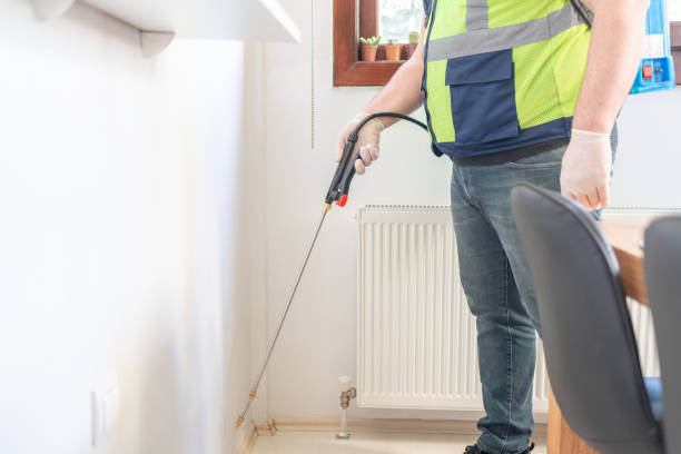 Best Affordable Pest Control Services  in Balcones Heights, TX