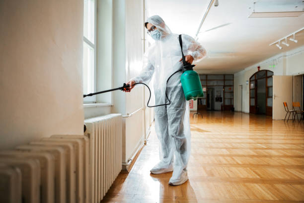 Best Local Pest Control Services  in Balcones Heights, TX